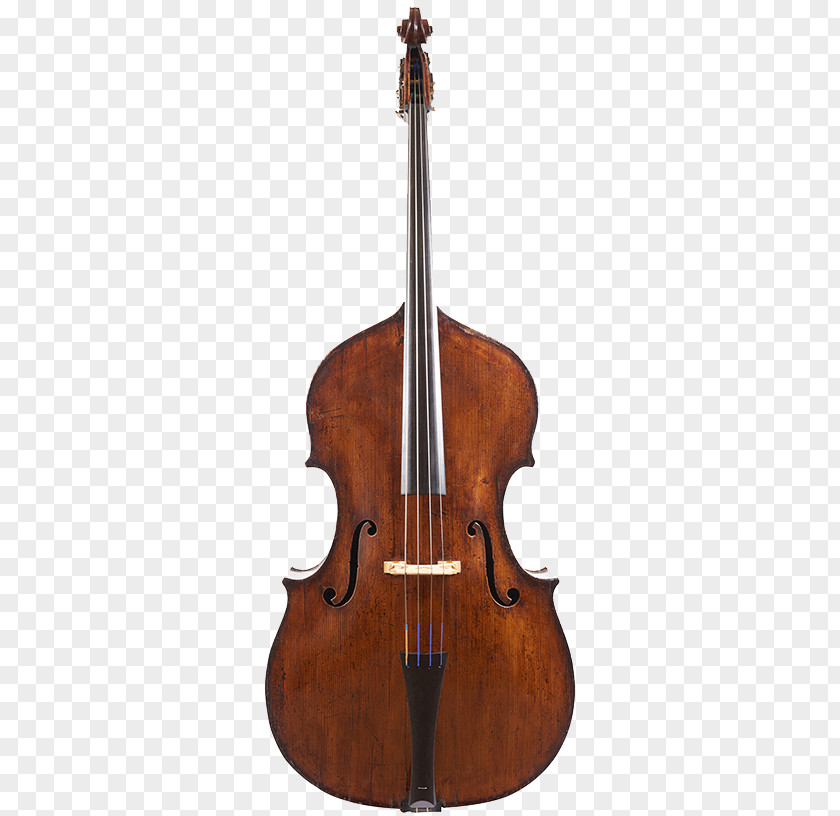 Violin Bass Violone Double Viola PNG