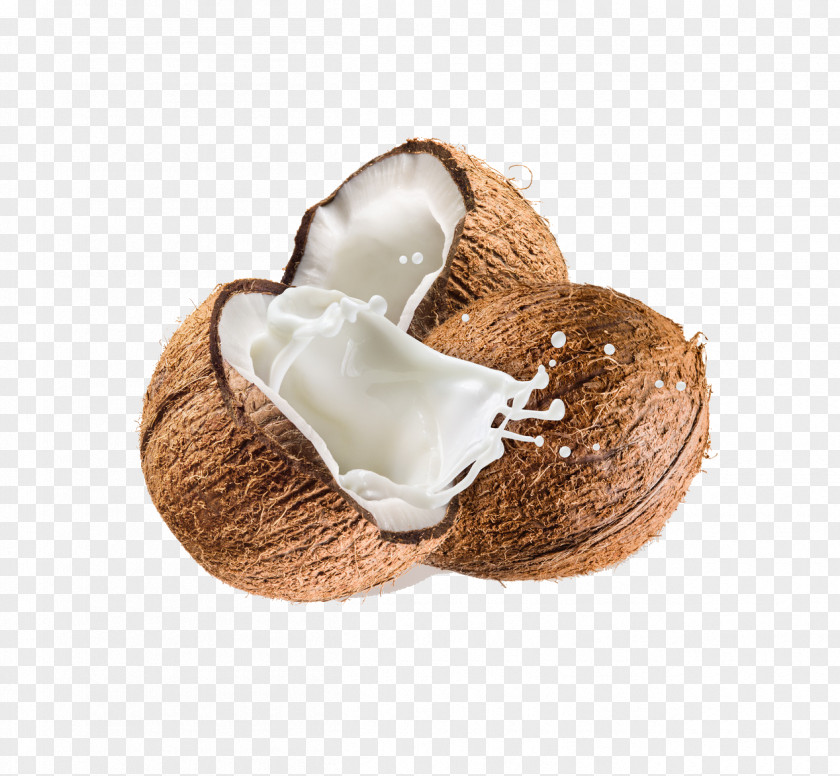 Coconut Milk Water Cream PNG