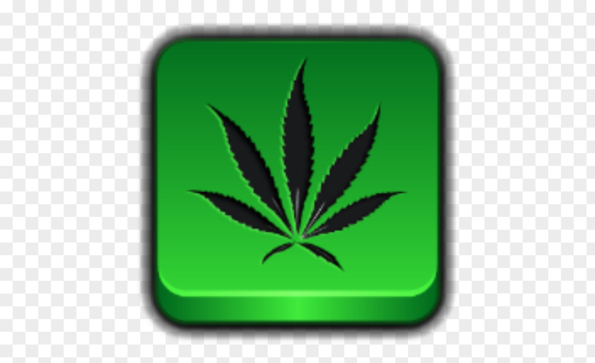 Cannabis Sativa Medical Drawing Leaf PNG