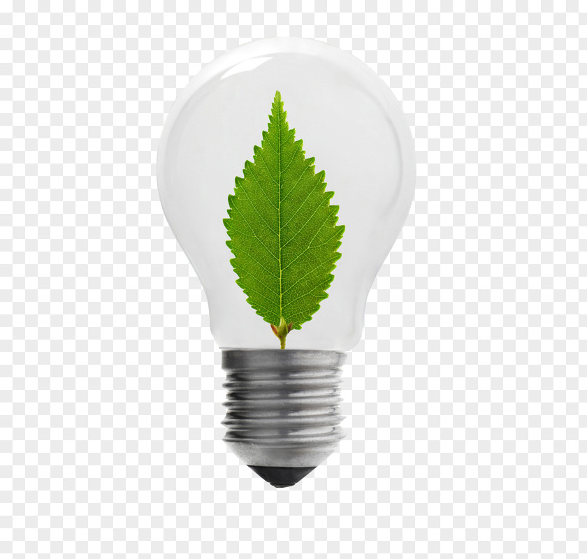 Energy Saving Light Bulbs Incandescent Bulb Conservation PNG