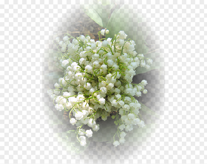 Flower Floral Design Bouquet 1 May Lily Of The Valley PNG