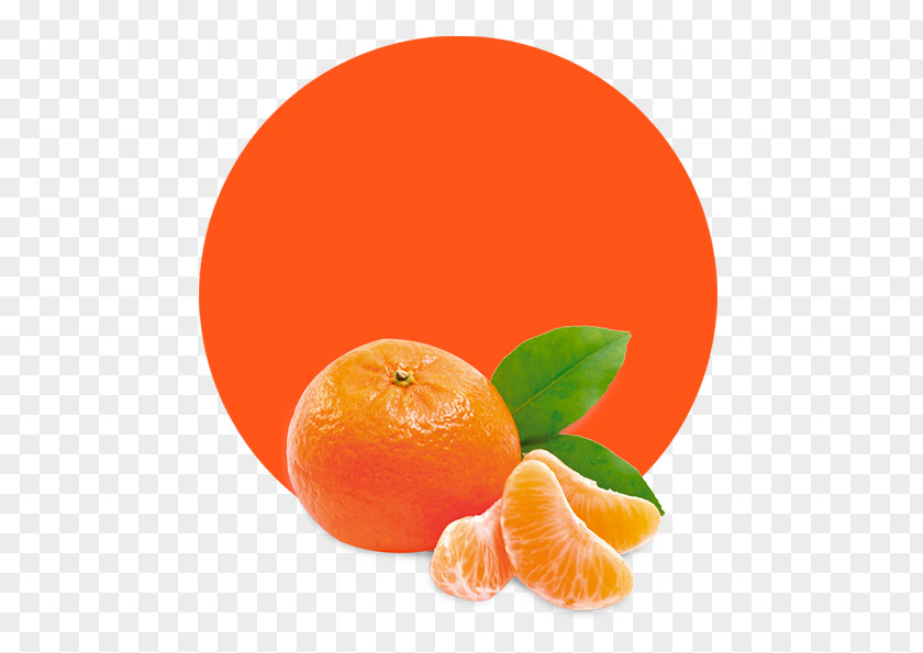 Juice Mandarin Orange Tangerine Marmalade PNG