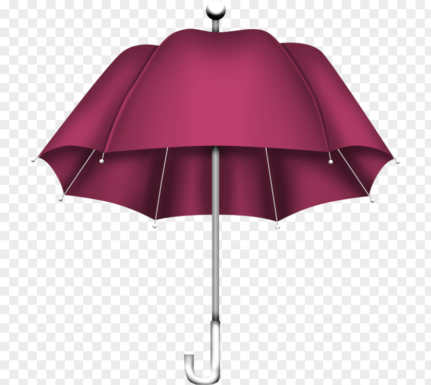 Parasol Umbrella Red Rose Purple Pink PNG