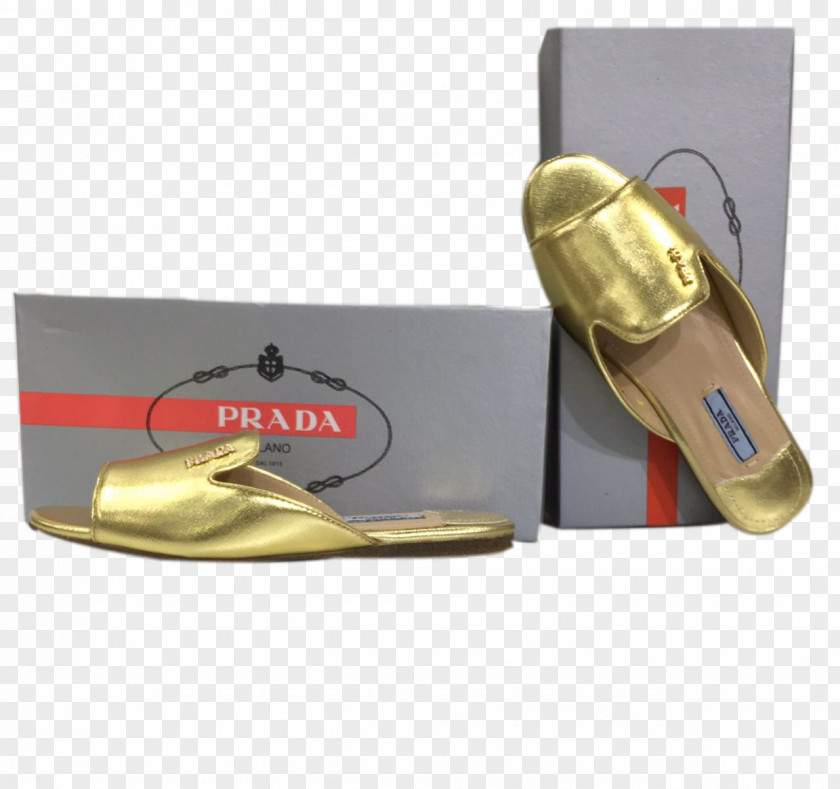 Sandal Brand Shoe PNG