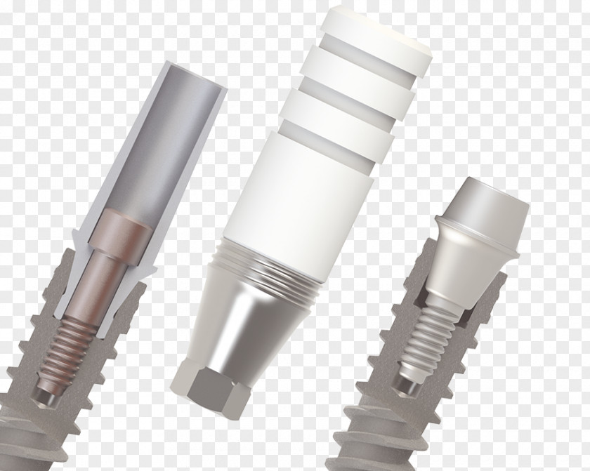 Traumedica Instrumental And Implants Implantología Dental Implant Plastic PNG