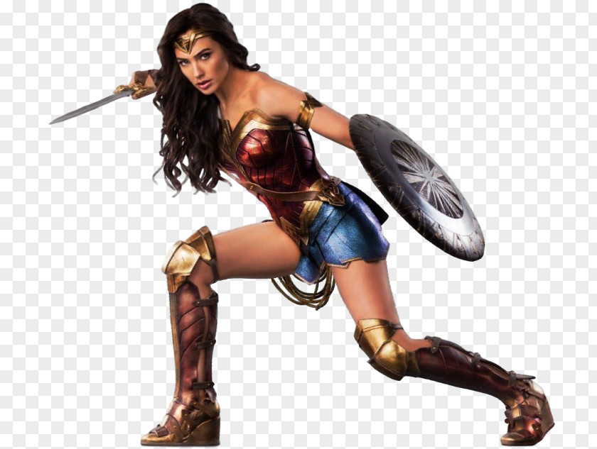 Woman Warrior Picture Diana Prince Batman Flash Joker Film PNG