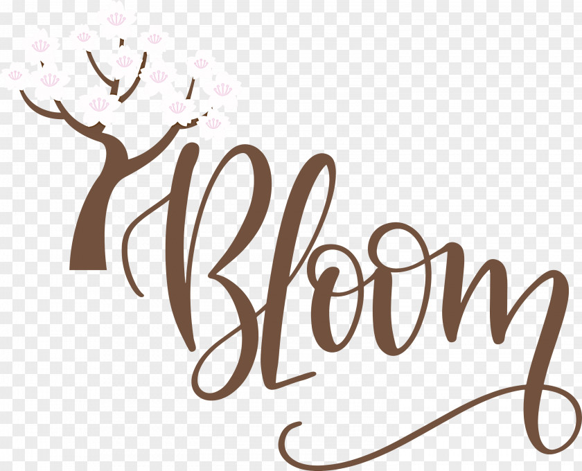 Bloom Spring PNG