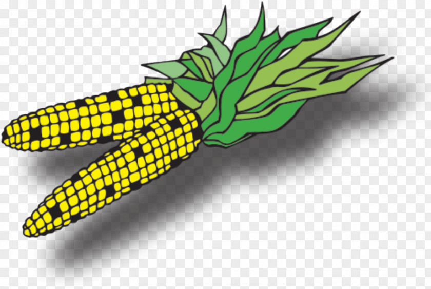 Bromeliaceae Sweet Corn Pineapple Cartoon PNG