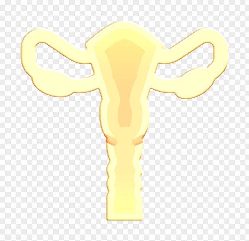 Medical Asserts Icon Uterus PNG