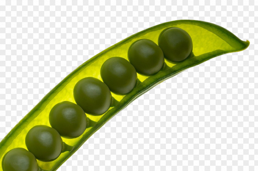 Pea Vegetarian Cuisine Snow Vegetable PNG