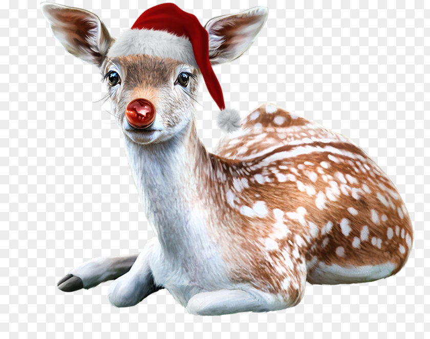 Reindeer Santa Claus's Christmas Clip Art PNG