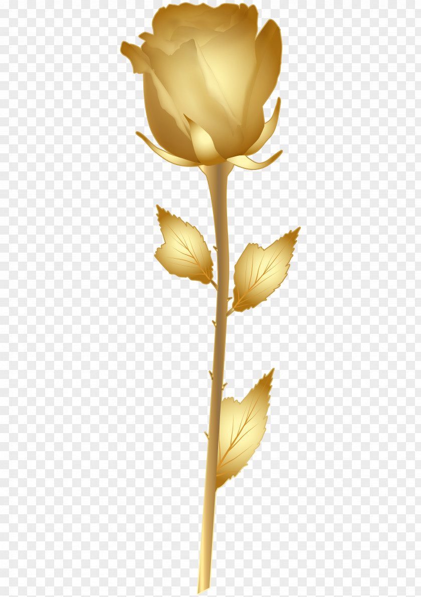 Beautiful Gold Rose Clip Art Image PNG