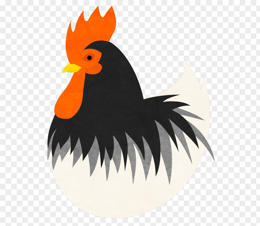Crow Material Rooster Chicken Clip Art Illustration Collage PNG