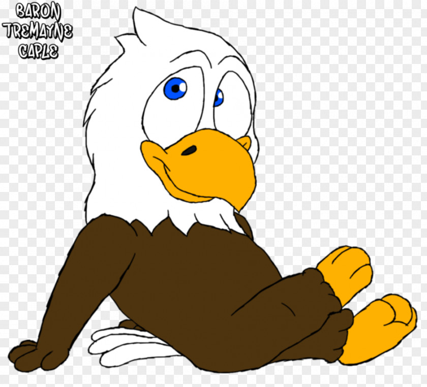 Duck Cygnini Goose Beak Clip Art PNG