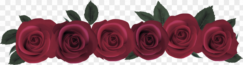 Garden Roses PNG