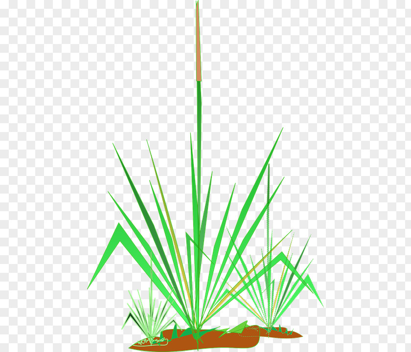 Green Plants Free Content Clip Art PNG