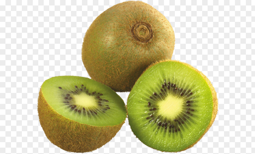 Hardy Kiwi Actinidia Kiwifruit Image Clip Art Vector Graphics PNG