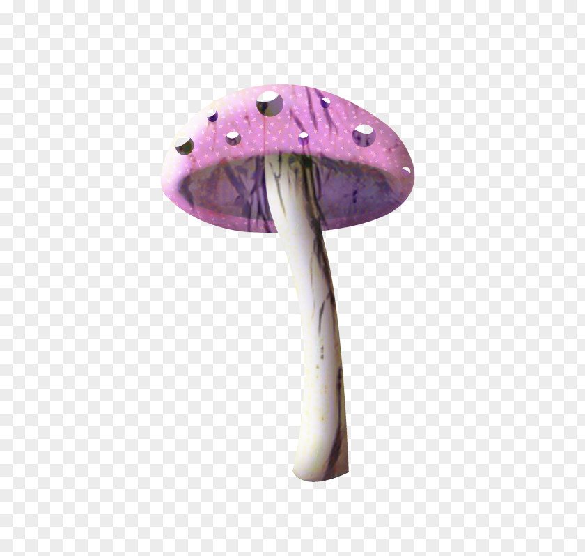 Jewellery Mushroom Cartoon PNG