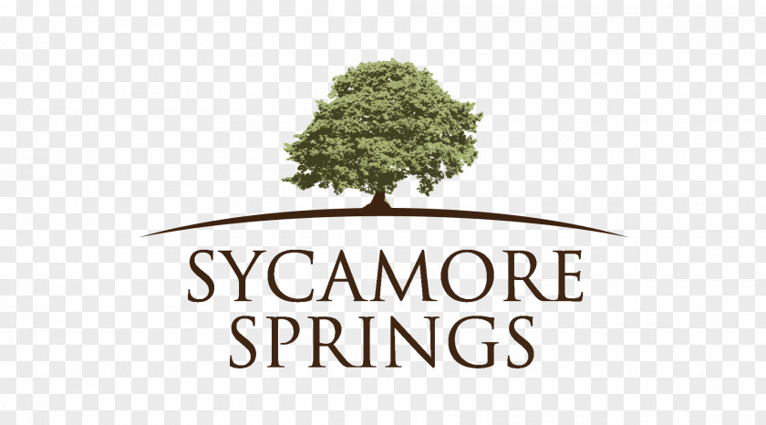 Sycamore St. Jerome Religious Store Partners Privately Held Company Corporation PNG