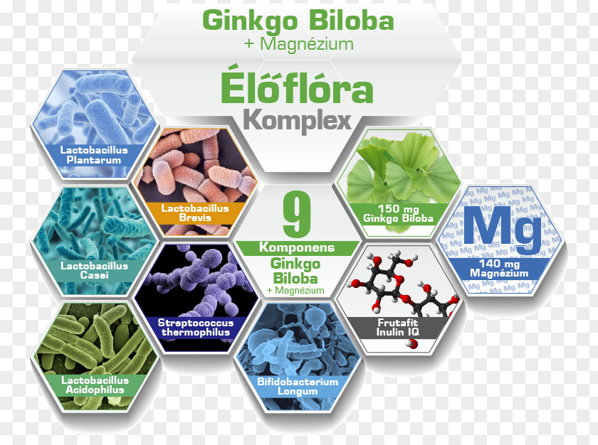 Ginkgo-biloba Dietary Supplement Magnesium Vitamin D B-6 PNG