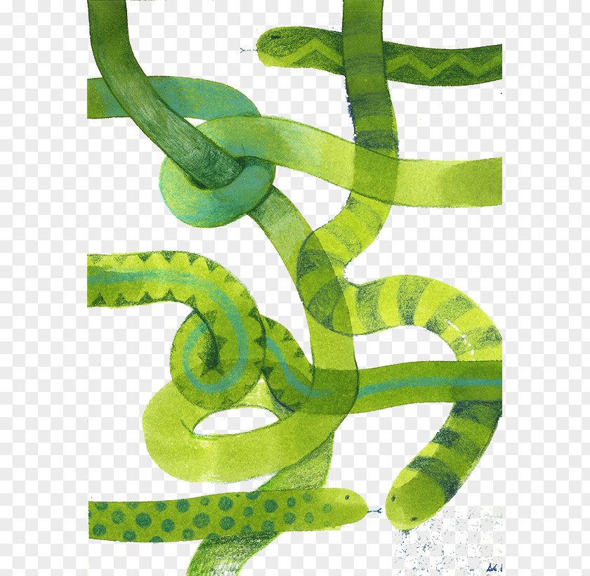 Green Snake Pattern Illustration PNG