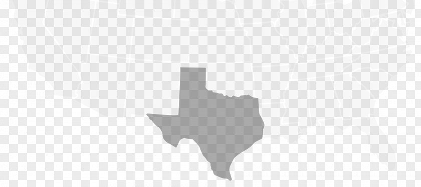 Houston Texans White Black PNG