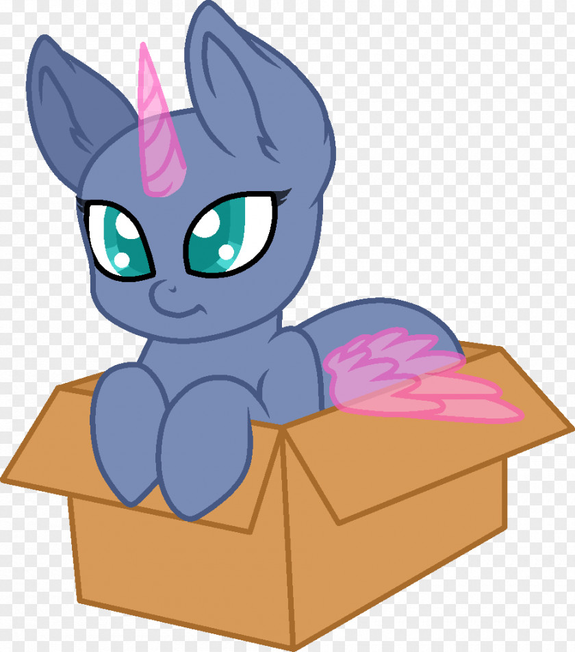 Paint Text Box Pony Horse Cat Whiskers PNG