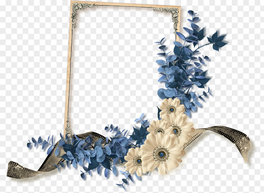 Picture Frames Photography PNG