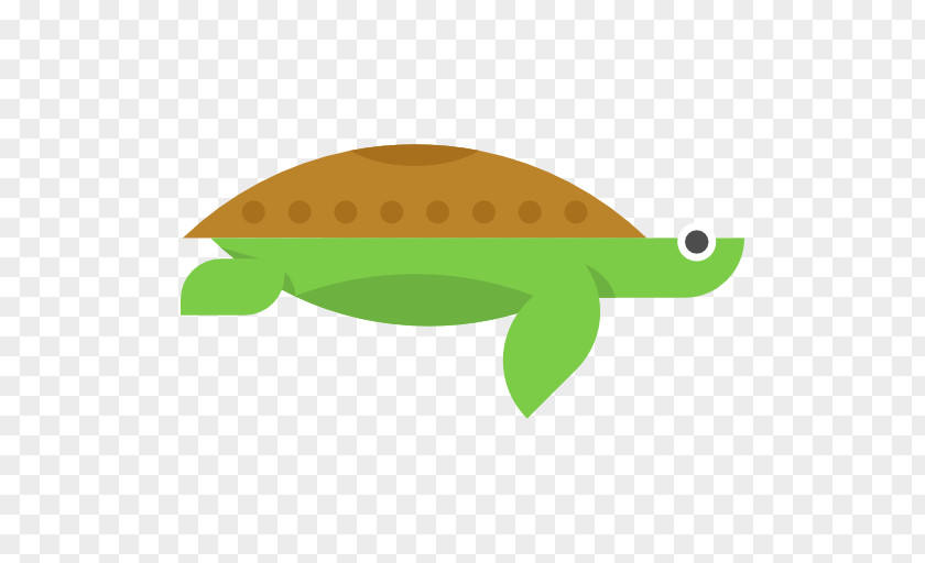 Turtle Sea Animal Clip Art PNG