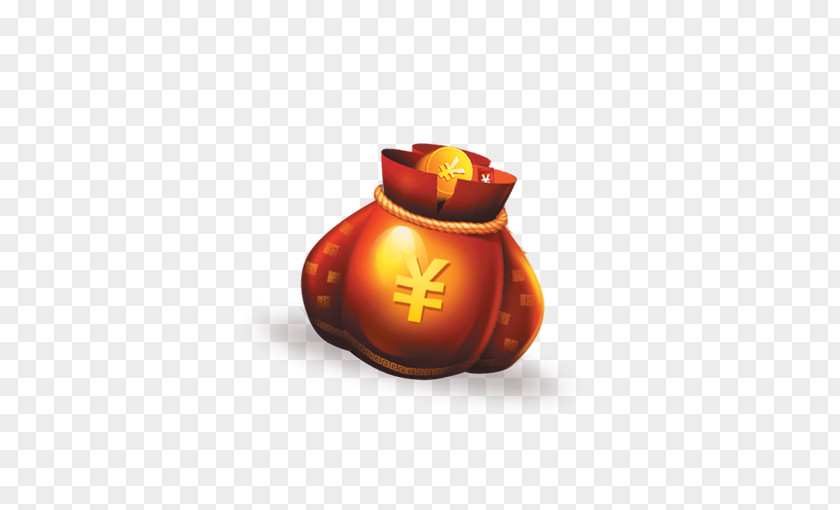 With The Money Bag Wallet Icon PNG