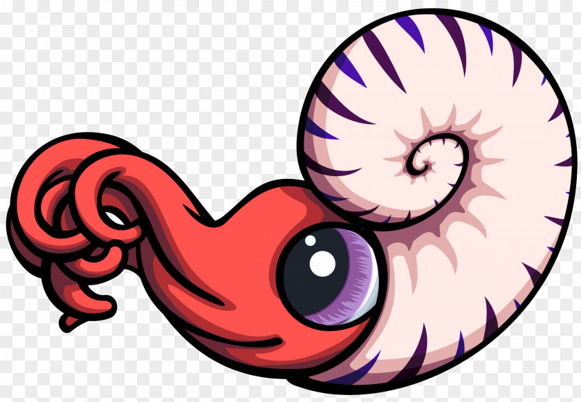 Ammonites Nautilidae Clip Art PNG