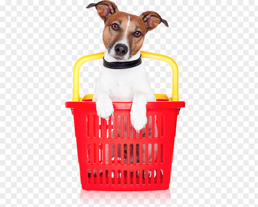 Dog Stock Photography Image Royalty-free Stock.xchng PNG