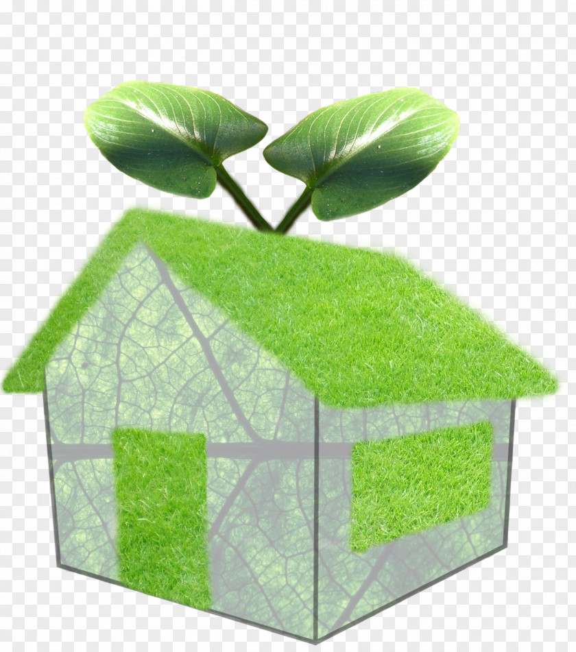 House Green Home Building Environmentally Friendly PNG