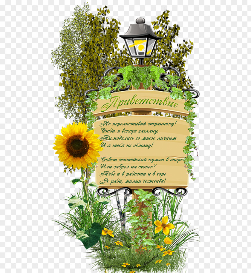 Ligustrum Greeting Verse Parable Floral Design Song PNG