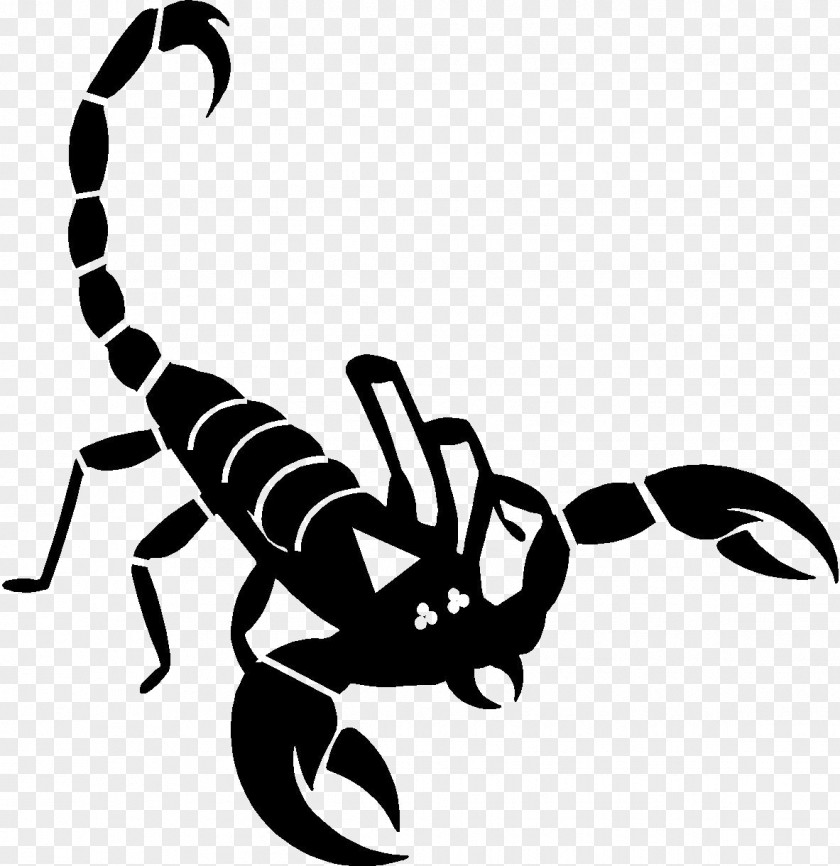 Scorpion Clip Art PNG