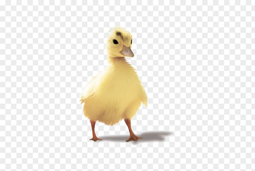 Small Yellow Duck Deductible Element Goose Clip Art PNG