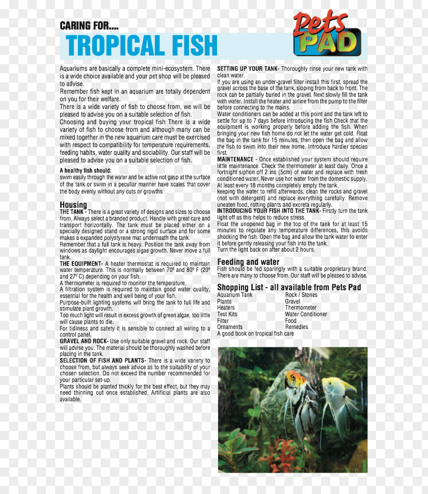 Tropical Fish Golden Hamster Plant Community Tree Newspaper PNG