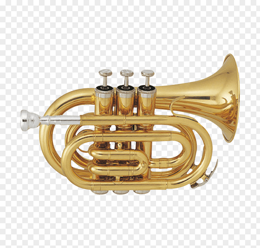 Trumpet Pocket Cornet Wind Instrument Brass Instruments PNG