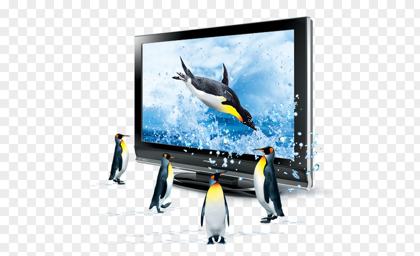 TV Penguins 3D Television Computer Graphics Icon PNG