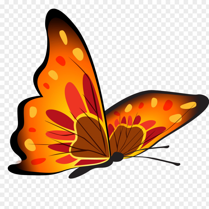 Butterfly Drawing Clip Art PNG