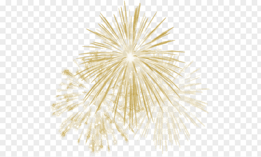 Fireworks Animation Clip Art PNG