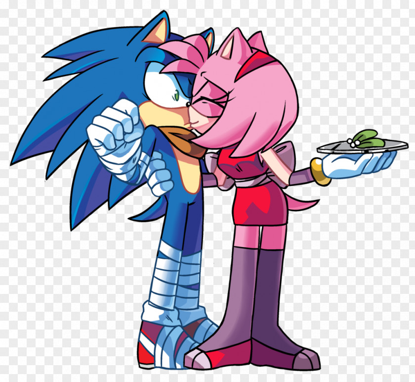 Go To Explode Amy Rose Ariciul Sonic Shadow The Hedgehog Dash 2: Boom PNG