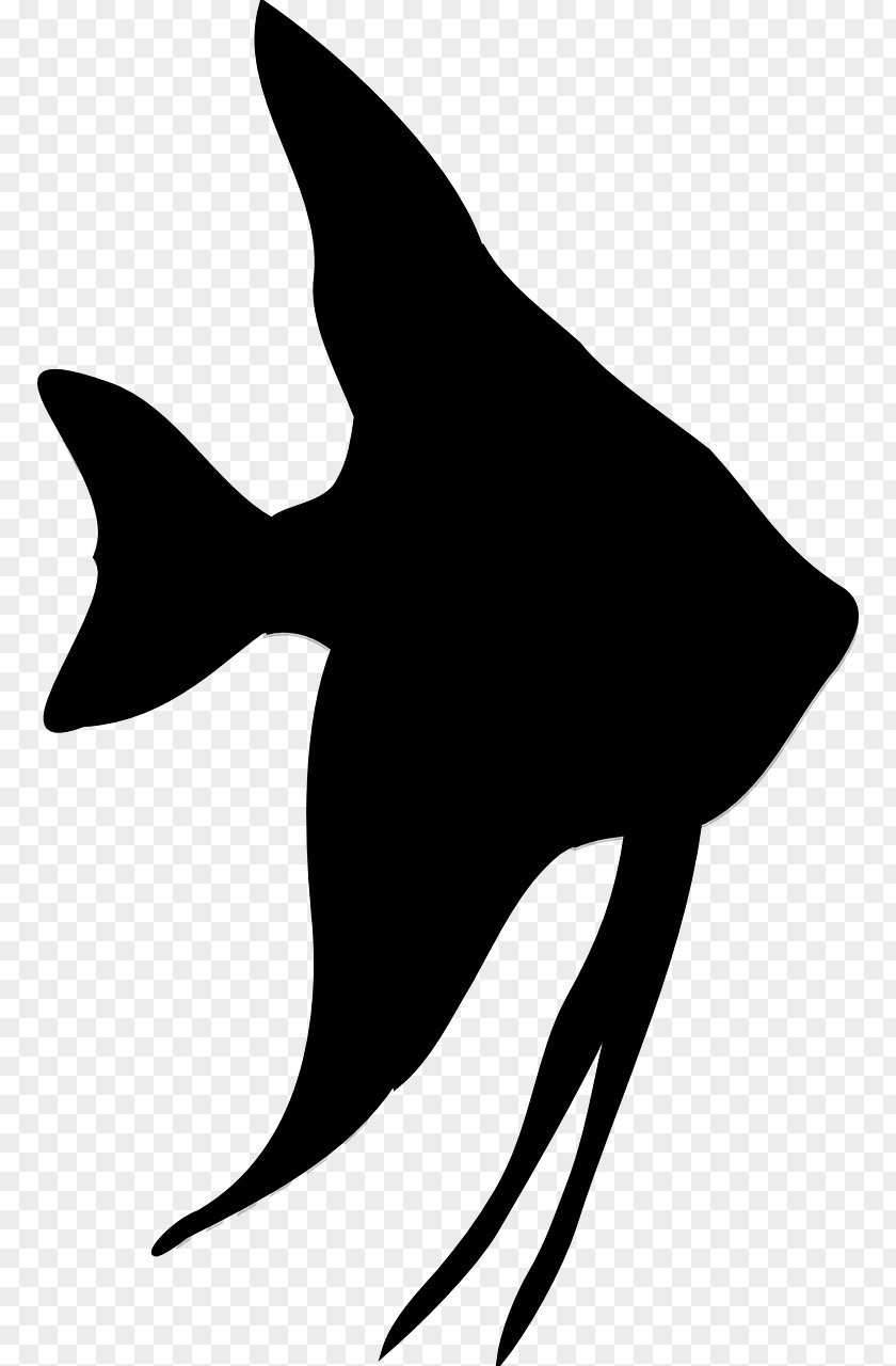 Starfish Silhouette Fish Clip Art PNG