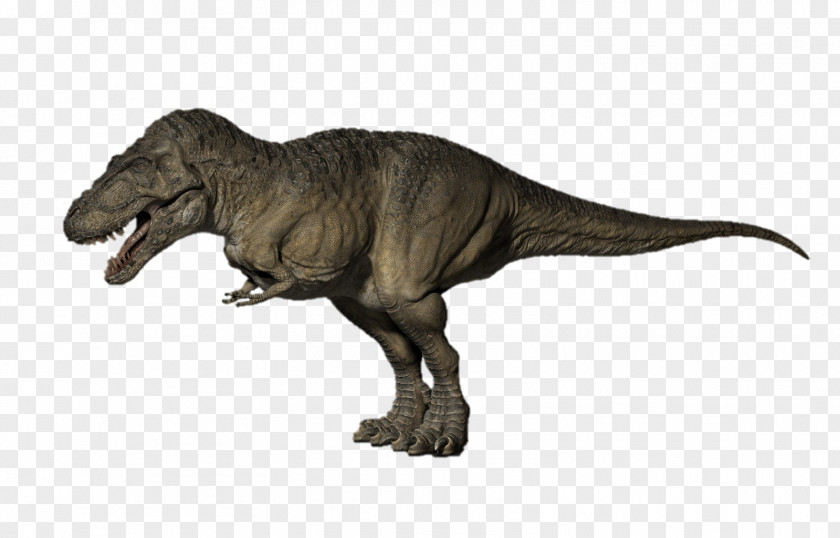 T Rex Tyrannosaurus Quetzalcoatlus Triceratops Ankylosaurus Giganotosaurus PNG