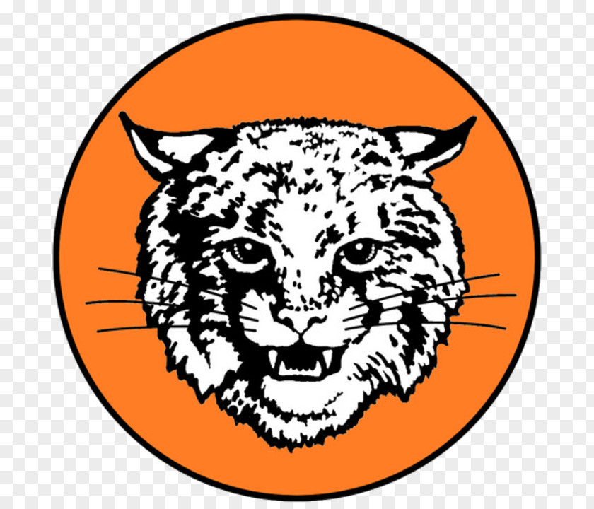 Tiger Northeastern Senior High School Whiskers Bobcat PNG