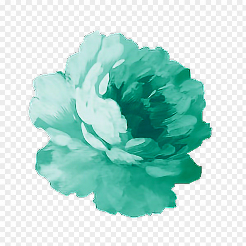 Turquoise Watercolour Flowers Watercolor Painting PNG
