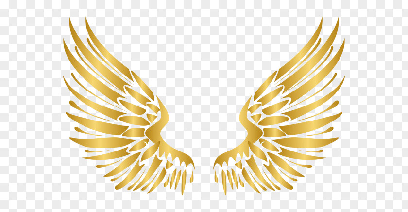 Angel Wings Icon Gold PNG