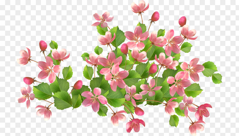 Flower Basket Clip Art PNG