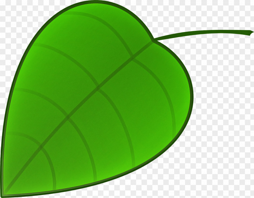 Leaf Green Plants Plant Structure Science PNG