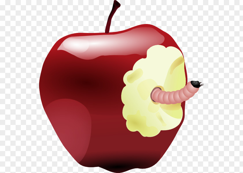 Rotten Meat Cliparts Worm Apple Clip Art PNG